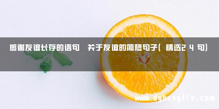 感谢友谊长存的语句 关于友谊的简短句子（精选24句）
